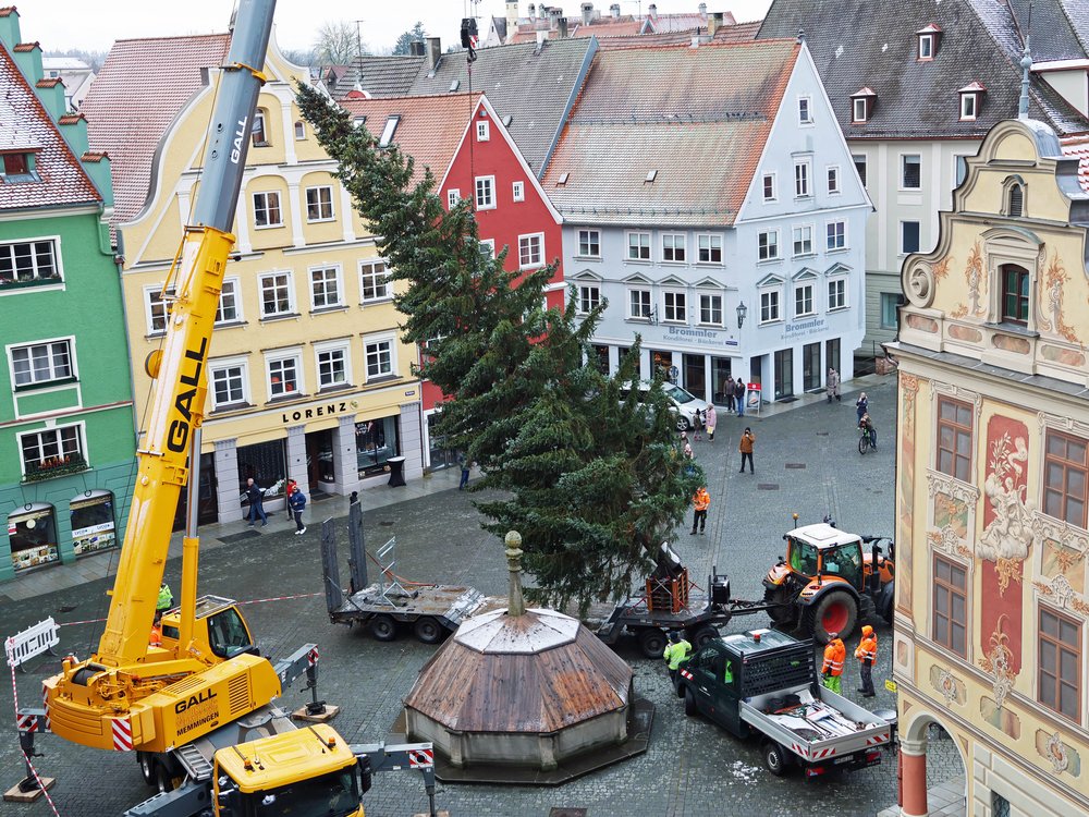 2024-11-20_Christbaum ist aufgestellt_01