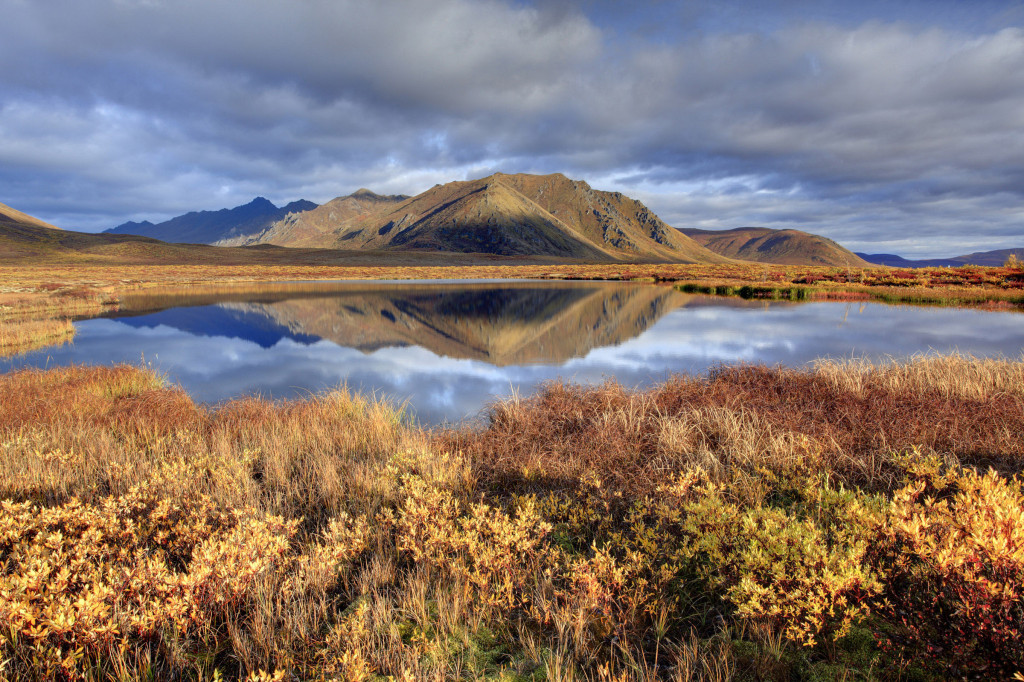 Tombstone Territorial Park, Yukon Territorium, Kanada