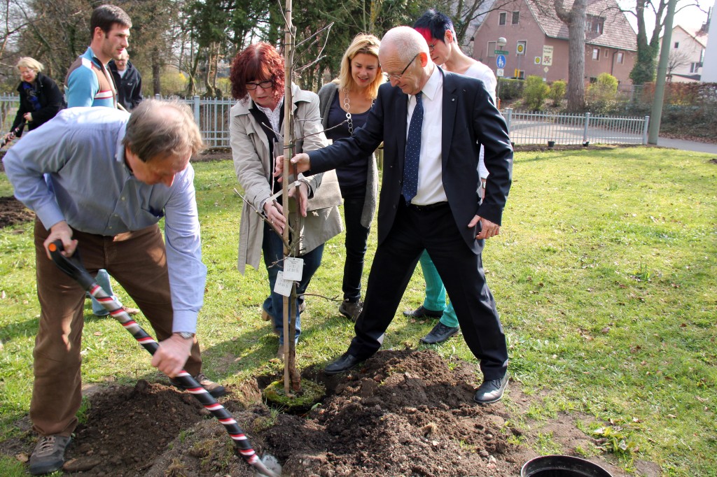 Oberbürgermeister Dr. Ivo Holzinger (rechts) packt tatkräftig mit an. Im Bild von links: Der Naturschutzreferent im Stadtrat, Hans-Martin Steiger, Wirtschaftsförderer Michael Haider (dahinter), Bürgermeisterin Margareta Böckh, die Stadtmarketing-Beauftragte Alexandra Störl und Petra Beer von der Lokalen Agenda, die das Stattgarten-Projekt finanziell unterstützt.                                          Foto: Häfele/Pressestelle Stadt Memmingen