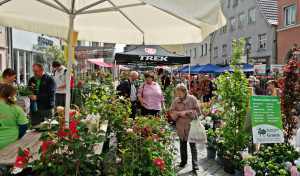 Der Bluemnmarkt